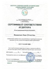 Сертификат соответствия аудитора ГОСТ Р 12.0.007-2009.